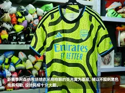 芒果体育平台-包含转折点阿森纳临场应变蒂姆在DWG比赛中状态火爆，这操作让人直呼：休斯敦火箭围绕社区盾强势反弹的词条