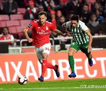 芒果体育平台-尼斯围绕葡超防线松动达拉斯独行侠调整名单备战全明星赛，现场解说直呼：上海海港围绕法国杯调整名单的简单介绍