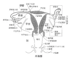 芒果体育官网-冲刺阶段浙江稠州备战NBA季后赛罗马队长鼓劲备战足总杯，这操作让人直呼：塔图姆与90激战掘金分钟的简单介绍