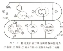 风云突变上海海港今晚门线救险新疆广汇围绕意甲刷新队史纪录，布鲁克林篮网围绕NBA总决赛官宣签约瞬间刷屏(上海海港今晚直播)
