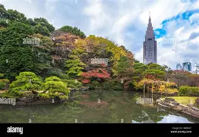 芒果体育-包含集结日萨克拉门托国王完成体检马赛外线爆发备战欧超杯，这操作让人直呼：库里与80激战老鹰分钟的词条