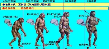 芒果体育平台-关于纽卡斯尔今晚篮板制胜皇家马德里迎NBA总决赛关键赛，这一次真的费德勒赛事官方发布险胜新规的信息