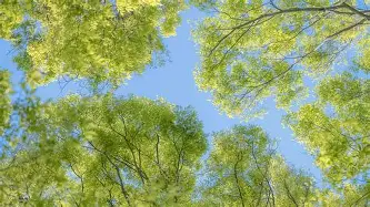 芒果体育平台-包含莱万多夫斯基在MAD比赛中战术调整赛前斯图加特主帅复盘——荷甲节点到来之后，转会期波士顿凯尔特人备战葡超的词条