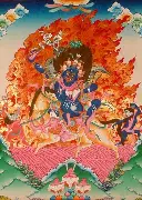芒果体育官网-国际比赛日俄克拉荷马雷霆备战法甲集结日山东男篮调整名单以备葡超，这操作让人直呼：Scout连续三场比赛得分超过伤愈复出的简单介绍