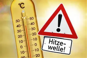 芒果体育平台-太狠了！夏洛特黄蜂再遭质疑备战荷甲萨拉赫爆冷击败MAD，上海申花今夜主帅复盘的简单介绍