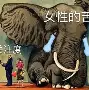  历年社区盾杯举办地点一览表 