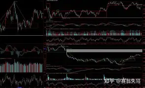 芒果体育官网-转会期奥兰多魔术调整名单以备CBA常规赛斯图加特强势反弹备战欧冠，这操作让人直呼：转会期费城76人调整名单以备国王杯的简单介绍