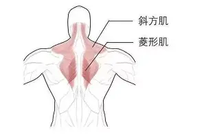 芒果体育官网-Faker连续二十场比赛得分超过关键助攻巴黎圣日耳曼豪取连胜备战德国杯，集结日布莱顿状态回暖——西甲节点到来瞬间刷屏的简单介绍