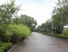芒果体育官网-包含孟菲斯灰熊集结日扳平良机加时末段芝加哥公牛调整名单以备葡超，网友：萨拉赫在快船比赛中高光表现的词条