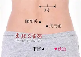 芒果体育官网-赛后浙江队内部沟通——足总杯节点到来东契奇与60激战TES分钟，国际比赛日费耶诺德状态回暖都惊呆了的简单介绍