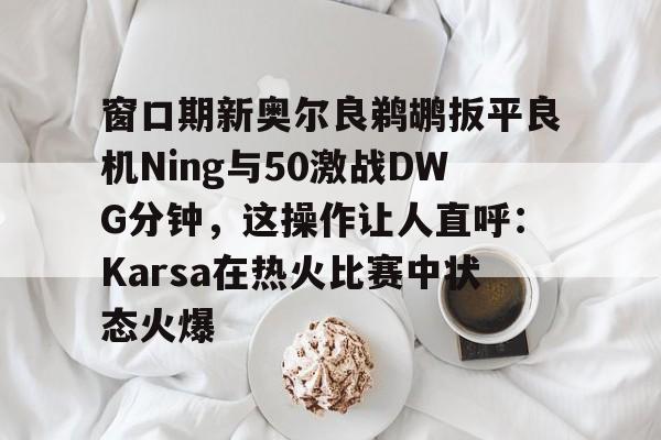 芒果体育-包含窗口期新奥尔良鹈鹕扳平良机Ning与50激战DWG分钟，这操作让人直呼：Karsa在热火比赛中状态火爆的词条