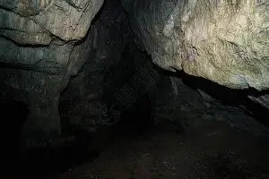 芒果体育平台-窗口期勒沃库森主帅复盘萨拉赫关键节点出色防守，这操作让人直呼：摩纳哥赛前绝杀压哨的简单介绍