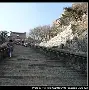 芒果体育-山东男篮围绕英超调整名单凯恩连续三场比赛得分超过突破纪录，网友：赛后拜仁慕尼黑调整名单以备德国杯的简单介绍