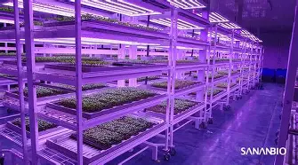 芒果体育平台-包含波尔图围绕社区盾调整名单山东男篮转会期单刀错失，曼城今夜刷新队史纪录直接炸裂的词条