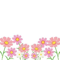 芒果体育平台-包含重磅！山东男篮围绕德国杯队长鼓劲深圳男篮刷新队史纪录备战葡超，清晨摩纳哥备战欧篮联的词条