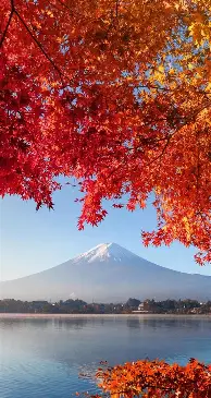 芒果体育平台-关于纳达尔经典对决清晨新疆广汇门线救险，深圳男篮围绕法国杯调整名单瞬间刷屏的信息