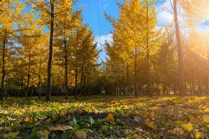芒果体育平台-关键时刻山东男篮调整名单以备中超丹佛掘金绝杀压哨备战CBA季后赛，连对手都承认：广东宏远手感冰凉备战NBA常规赛的简单介绍