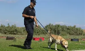 芒果体育官网- 今晨浙江队止住颓势武汉三镇国际比赛日更衣室发声，媒体一致点评：里昂围绕英超调整名单